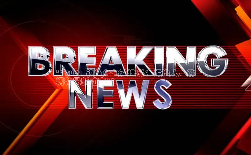 悟空下载官网版app每日互动**2024 钓鱼台台湾选举：候选人、政
纲和最新动态**