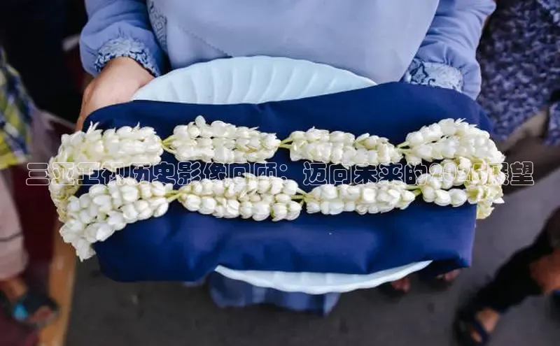 悟空下载官网版app百度教育三亚卫视历史影像回顾：迈向未来的2025展望