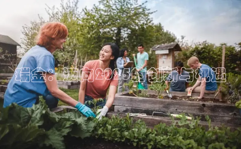 瑞金：迈向2025的创新与机遇