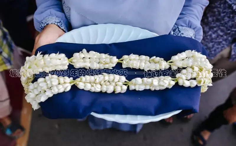 塘厦：回顾2025年的爆炸与火灾——探讨安全防范的必要性