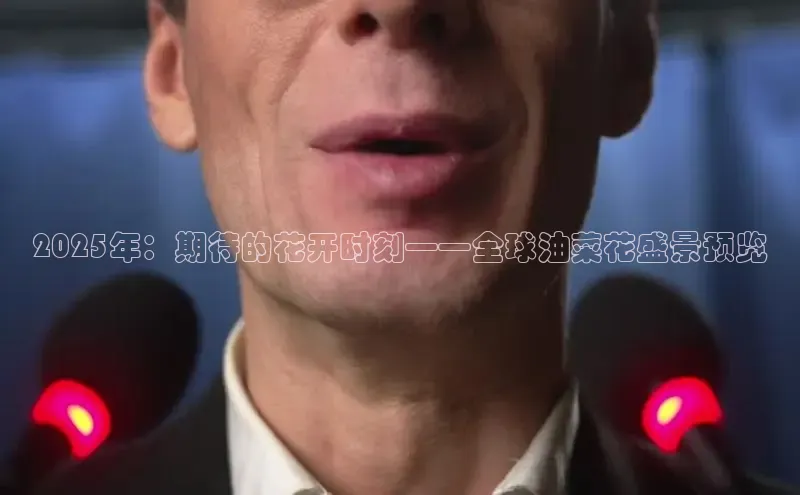 2025年：期待的花开时刻——全球油菜花盛景预览