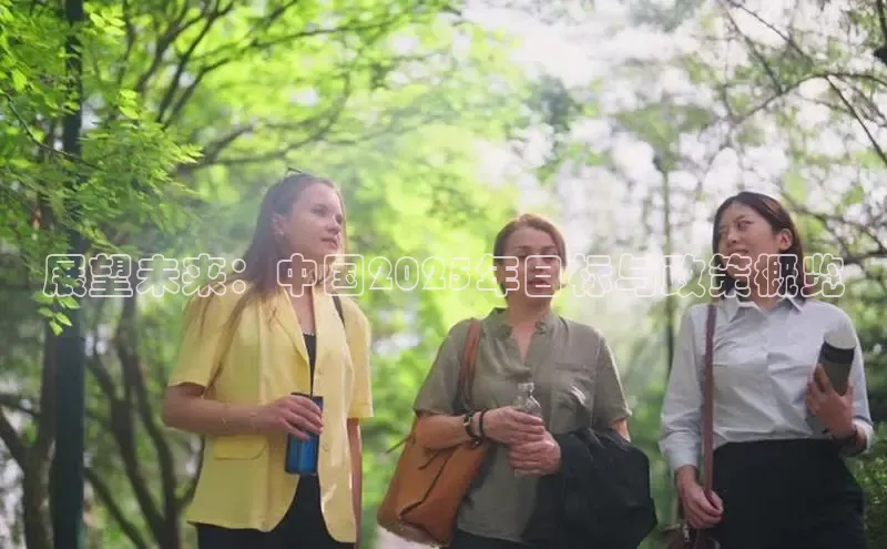 展望未来：中国2025年目标与政策概览