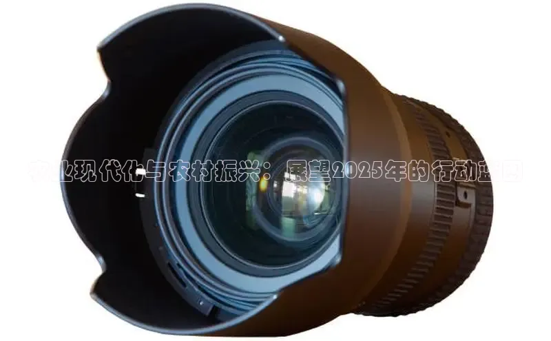 农业现代化与农村振兴：展望2025年的行动蓝图