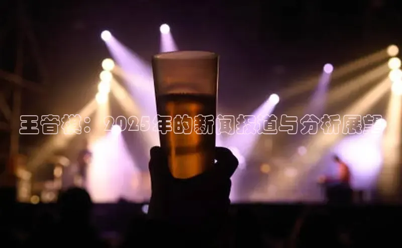 王音棋：2025年的新闻报道与分析展望
