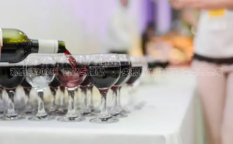 观后感2025：回顾与展望——央视新闻联播的深度与思考